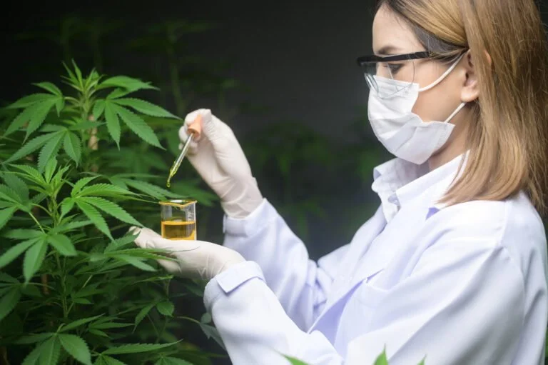 A Practical Guide to Choosing the Right CBD Extract for Product Formulation